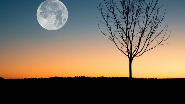 Moon Rising In Evening - 4K laptop wallpaper